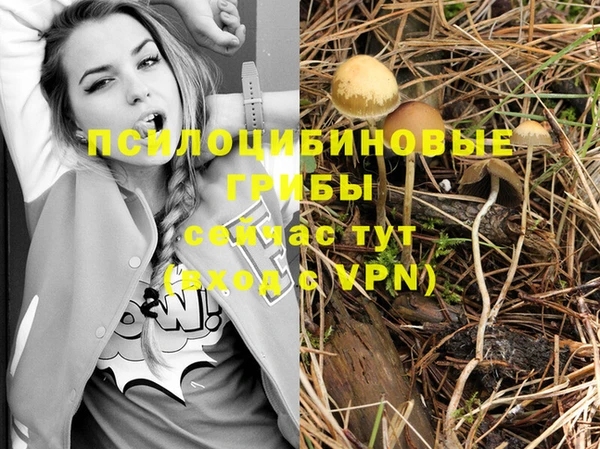 марихуана Каменногорск