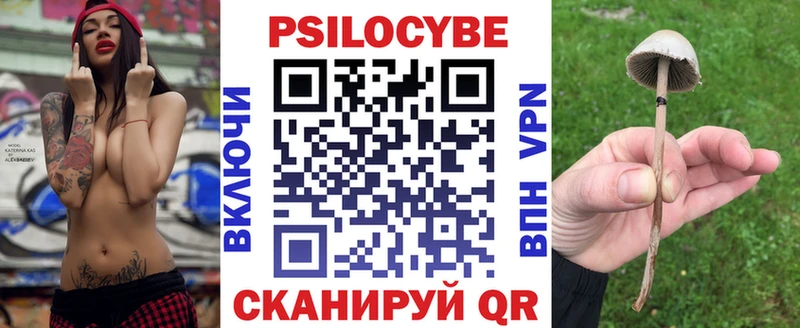 Купить закладки  Терек  Псилоцибиновые грибы прущие грибы 