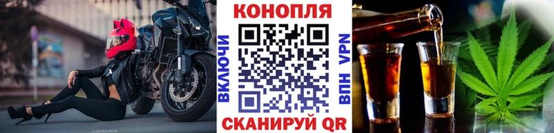 Купить закладки  Терек  Шишки марихуана гибрид 